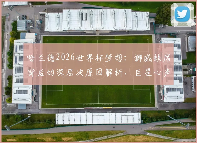哈兰德2026世界杯梦想：挪威缺席背后的深层次原因解析，巨星心声引热议